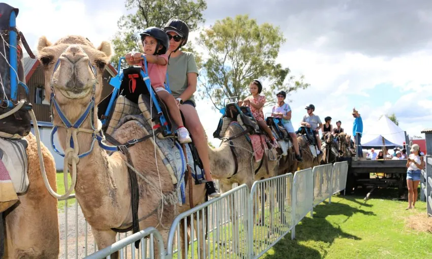 Summer Land Camel Trail Ride - 40 Minutes | Experience Oz