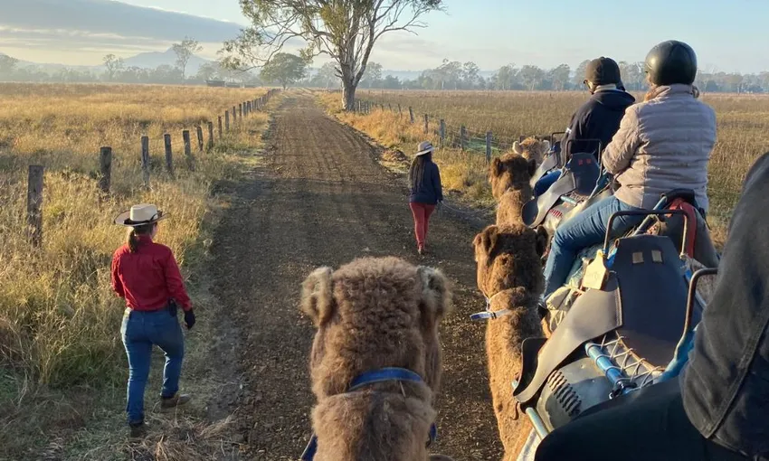 Summer Land Camel Trail Ride - 40 Minutes | Experience Oz