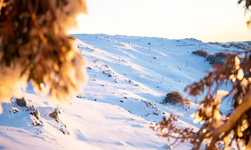 Thredbo Snow Tour From Sydney - 1 Day | Book Now | Experience Oz