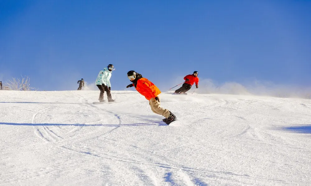 Perisher Valley Snow Tour From Sydney - Book Now | Experience Oz-1