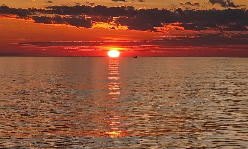 Broome 4 Course Sunset Dinner Cruise | Experience Oz-3