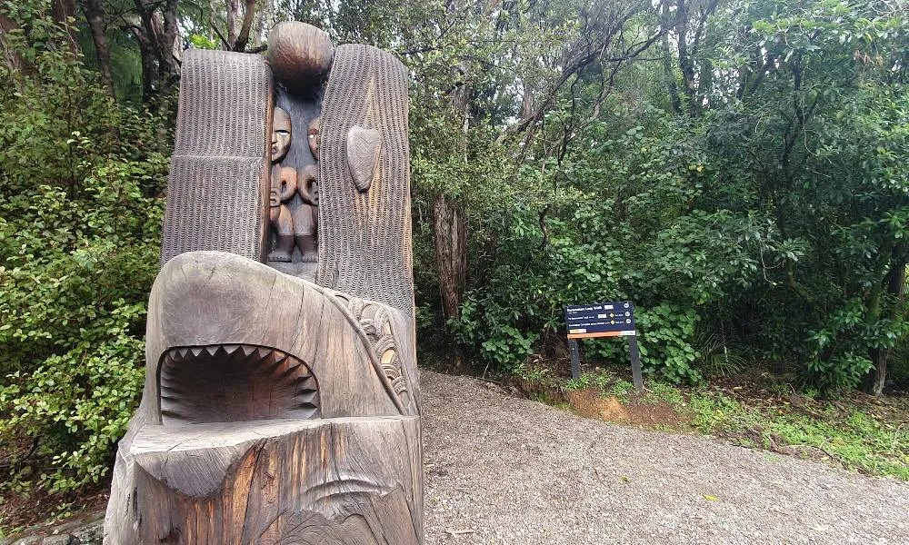 Auckland Wilderness Experience Nature Tour | Experience Oz-2