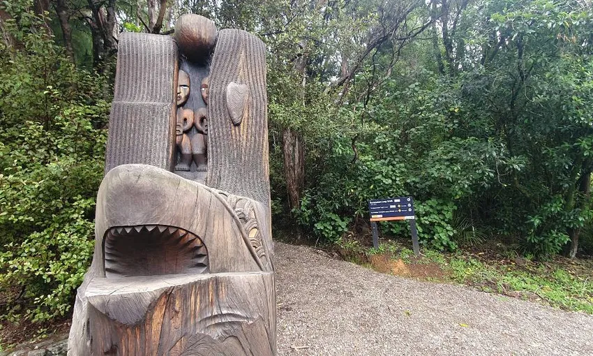 Auckland Wilderness Experience Nature Tour | Experience Oz