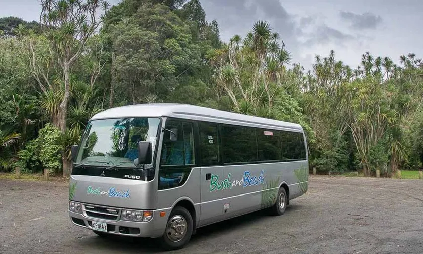 Auckland Wilderness Experience Nature Tour | Experience Oz