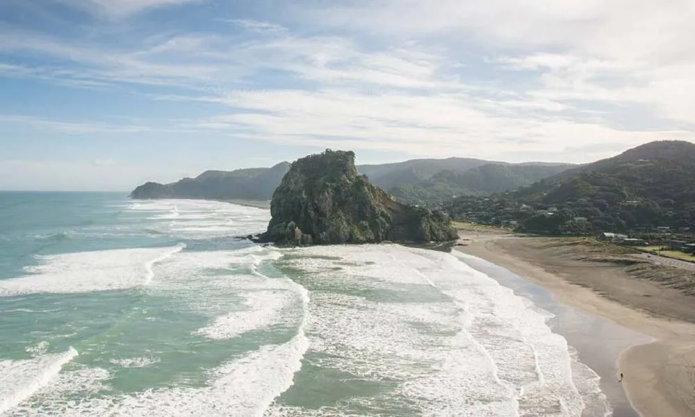 Auckland Wilderness Experience Nature Tour | Experience Oz-6