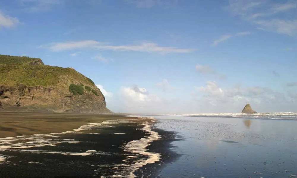 Coast and Rainforest Walk Full Day -1