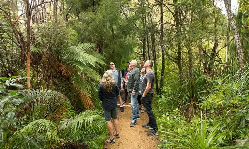 Coast and Rainforest Walk Full Day 