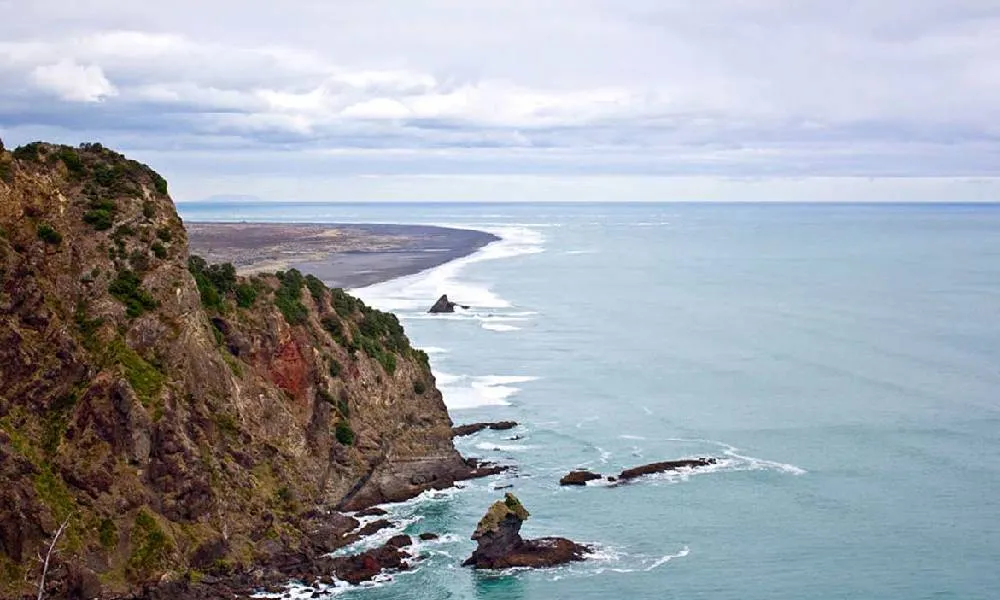 Coast and Rainforest Walk Full Day -3