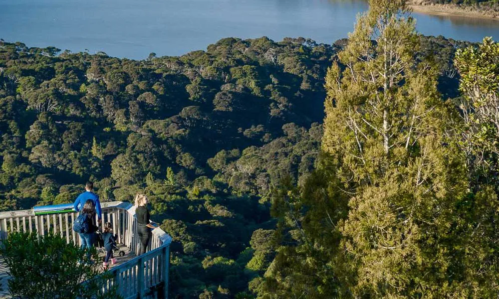 Coast and Rainforest Walk Full Day -4