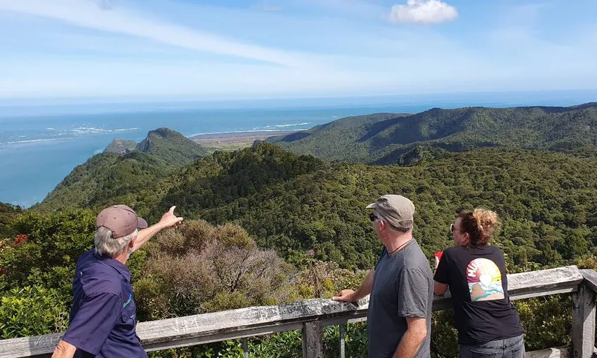 Coast and Rainforest Walk Full Day 