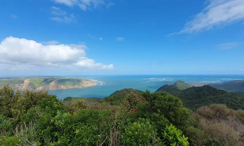 Coast and Rainforest Walk Full Day 