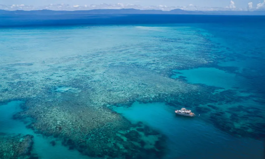 Upolu Cay Reef Snorkel and Dive Day Cruise | Experience Oz