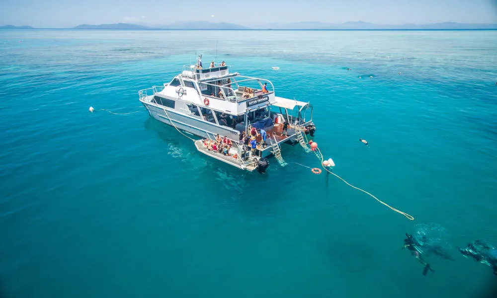 Upolu Cay Reef Snorkel and Dive Day Cruise | Experience Oz-6