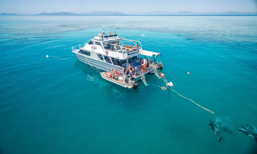 Upolu Cay Reef Snorkel and Dive Day Cruise | Experience Oz