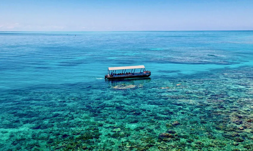 Upolu Cay Reef Snorkel and Dive Day Cruise | Experience Oz