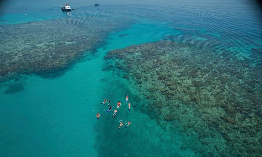 Upolu Cay Reef Snorkel and Dive Day Cruise | Experience Oz-5