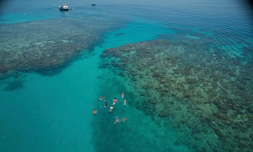 Upolu Cay Reef Snorkel and Dive Day Cruise | Experience Oz