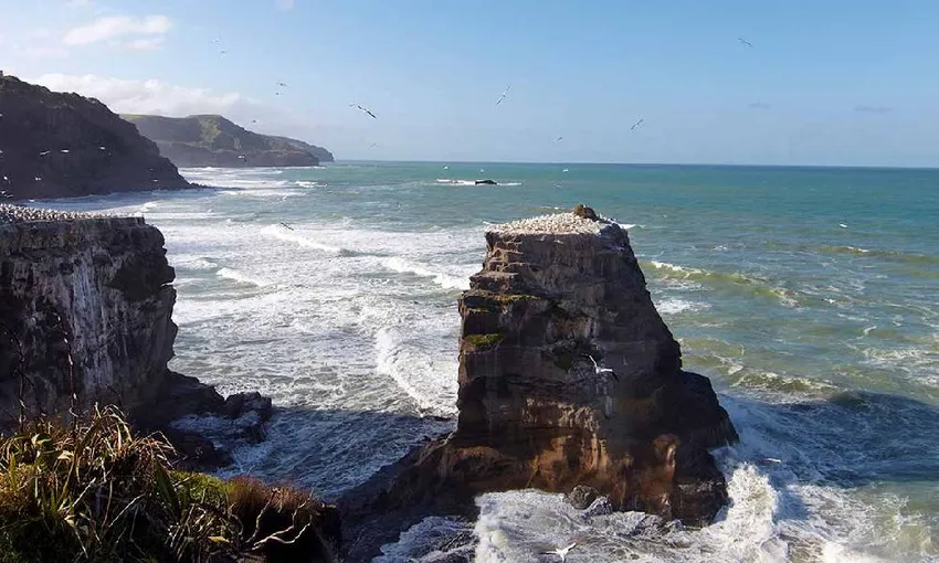 Taste of Auckland Full Day Tour