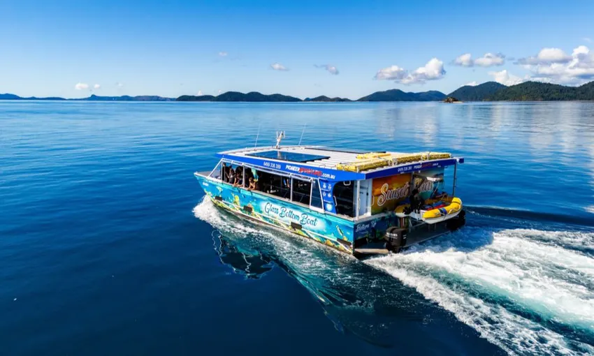 Airlie Beach Glass Bottom Discovery Tour | Experience Oz