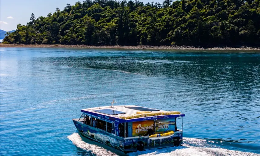 Airlie Beach Glass Bottom Discovery Tour | Experience Oz