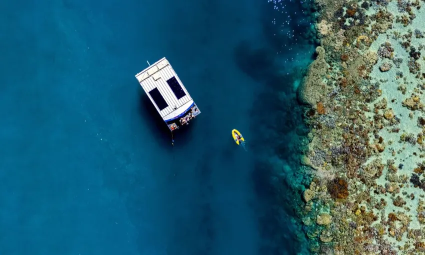 Airlie Beach Glass Bottom Discovery Tour | Experience Oz