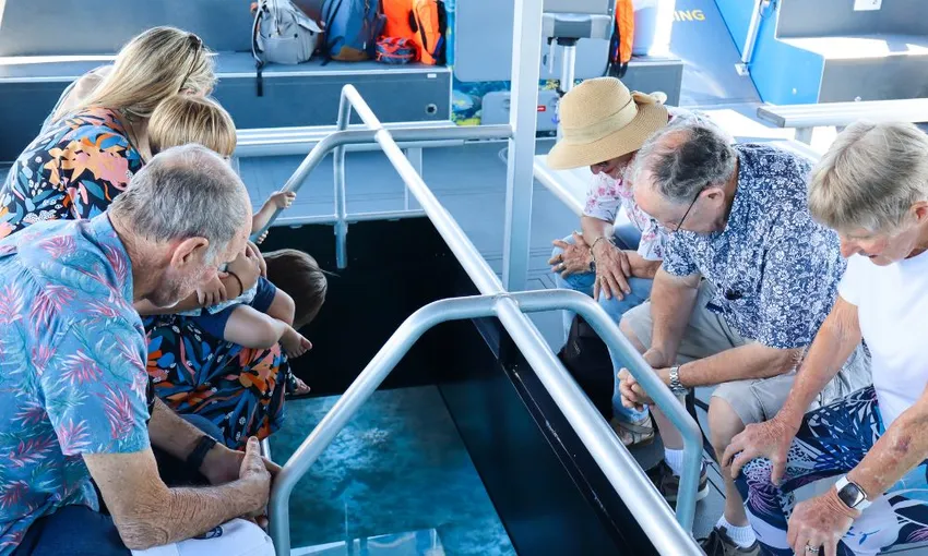 Airlie Beach Glass Bottom Discovery Tour | Experience Oz
