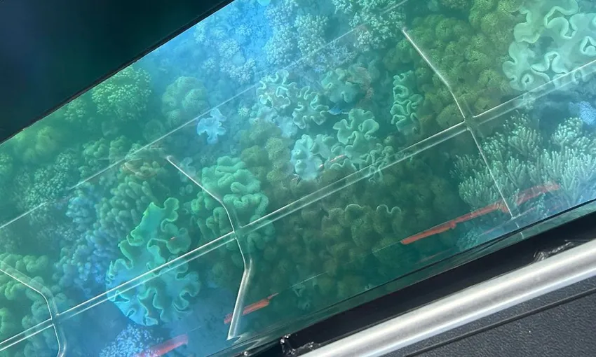 Airlie Beach Glass Bottom Discovery Tour | Experience Oz