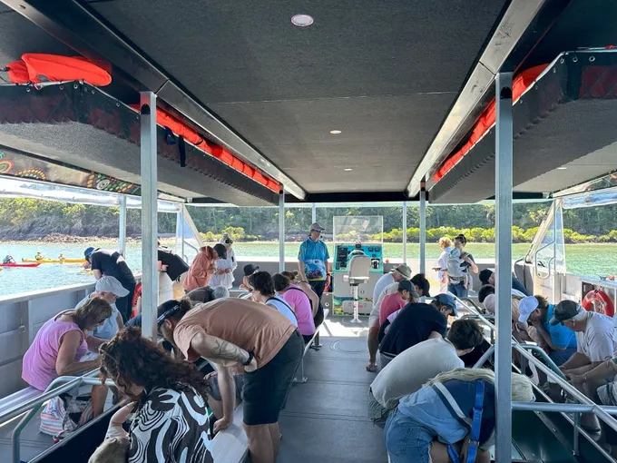 Airlie Beach Glass Bottom Discovery Tour | Experience Oz