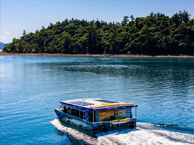 Airlie Beach Glass Bottom Discovery Tour | Experience Oz