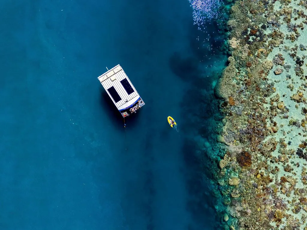Airlie Beach Glass Bottom Discovery Tour | Experience Oz-20