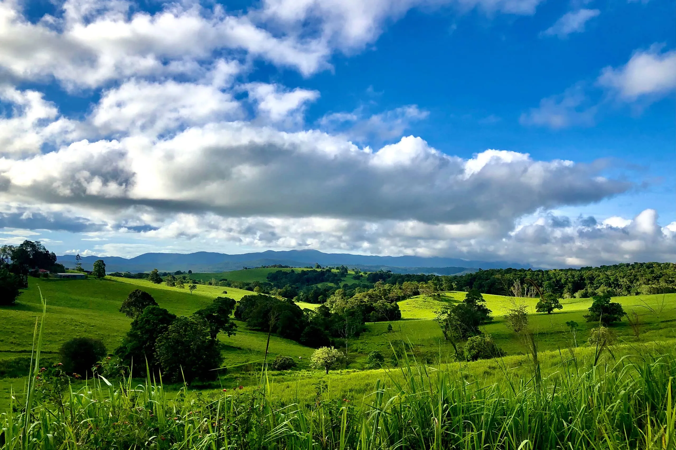 Cairns Waterfalls Day Tour | Experience Oz-7
