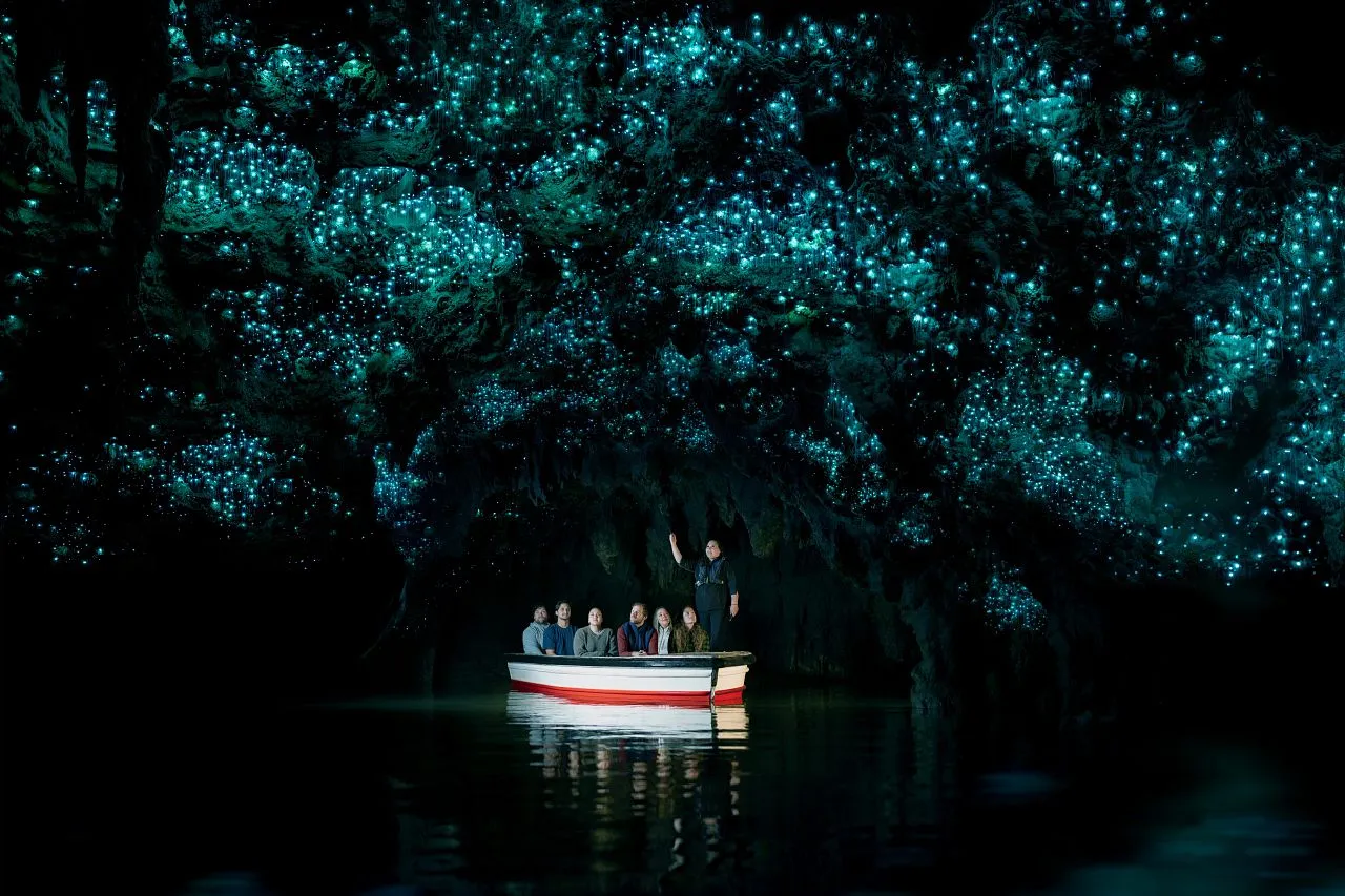 Waitomo Glowworm Caves Guided Tours | Experience Oz-1