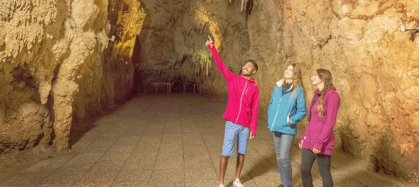 Waitomo Glowworm Caves and Aranui Cave | Experience Oz