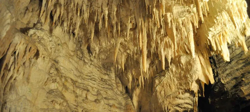 Waitomo Glowworm Caves and Aranui Cave | Experience Oz
