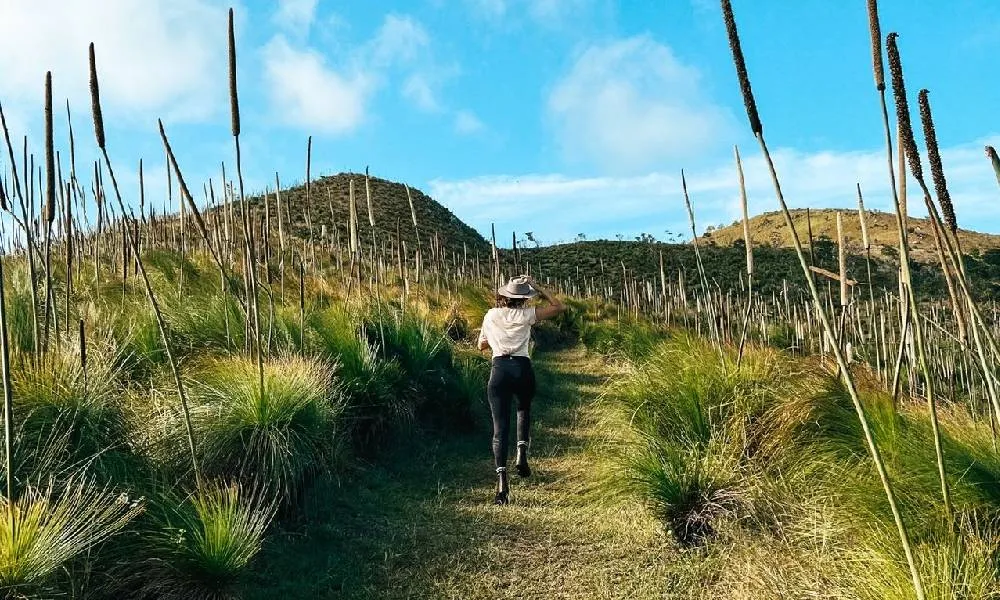South Molle Island Self-Guided Walk-1