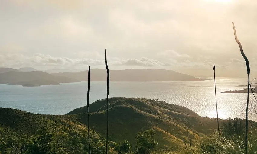 South Molle Island Self-Guided Walk