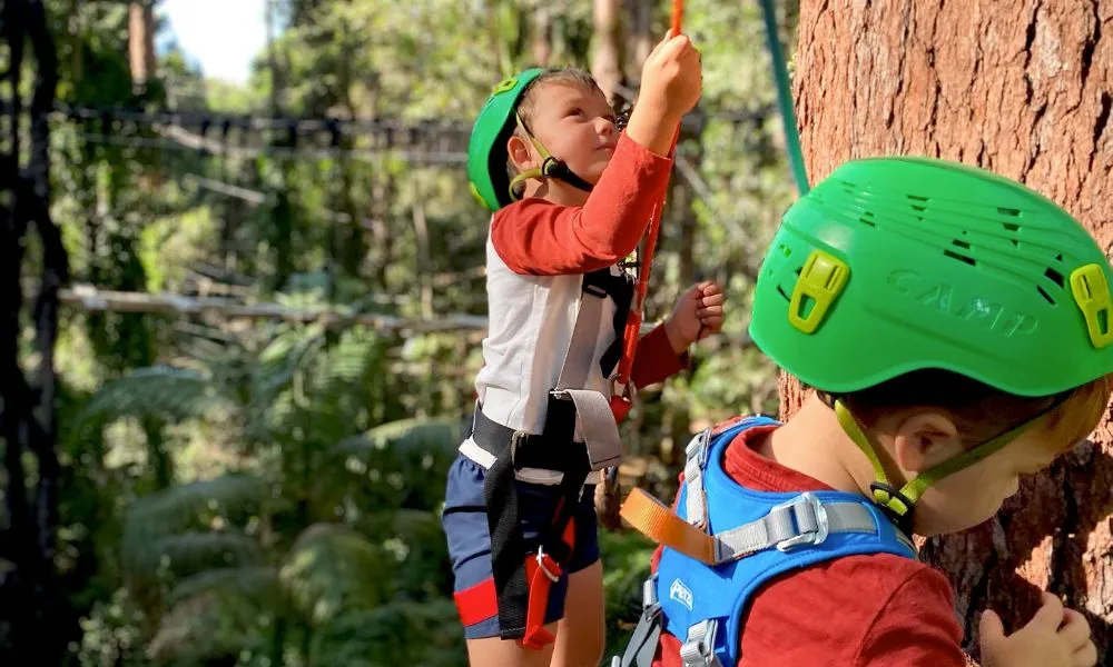 Junior Zipline Adventure On The Sunshine Coast - Book Now | Experience OZ-2
