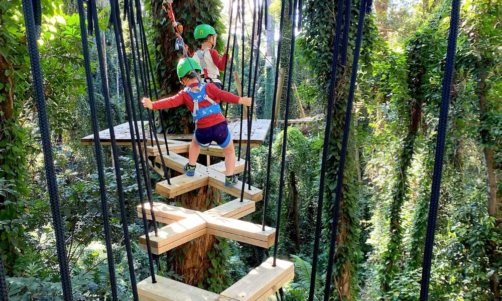 Junior Zipline Adventure On The Sunshine Coast - Book Now | Experience OZ-4