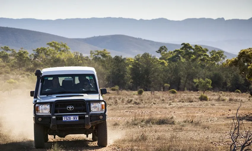 Rawnsley Park Station Run 4WD Half Day Tour | Experience Oz