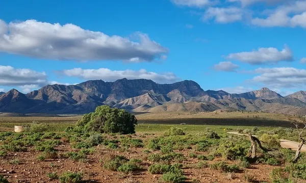 Rawnsley Park Station Run 4WD Half Day Tour