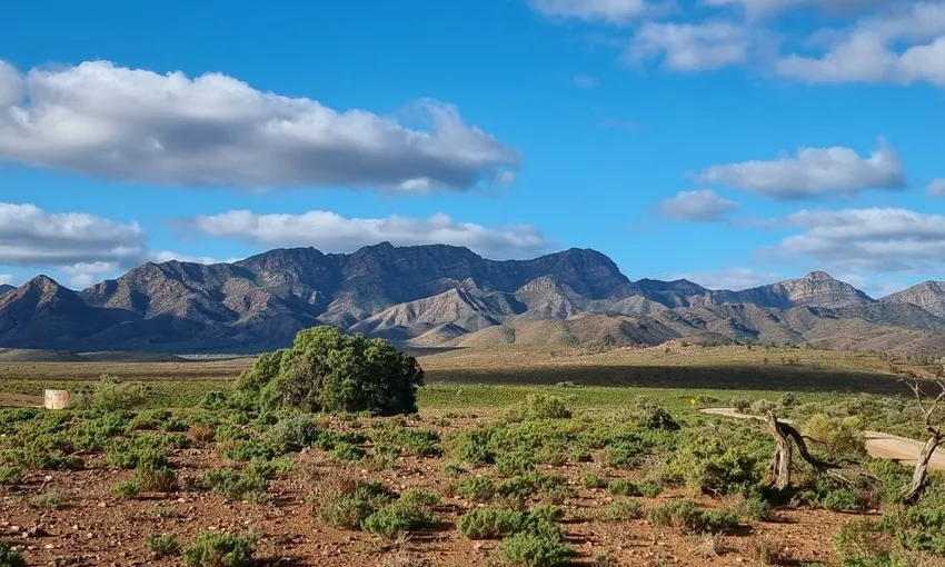Rawnsley Park Station Run 4WD Half Day Tour | Experience Oz