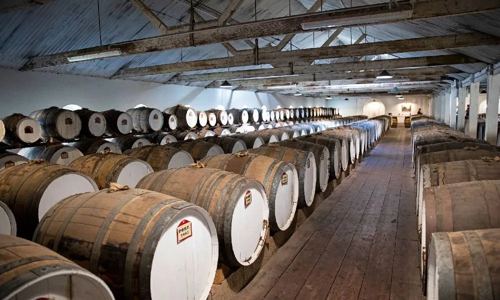 Seppeltsfield Taste of History Tour - Book Now | Experience Oz-2