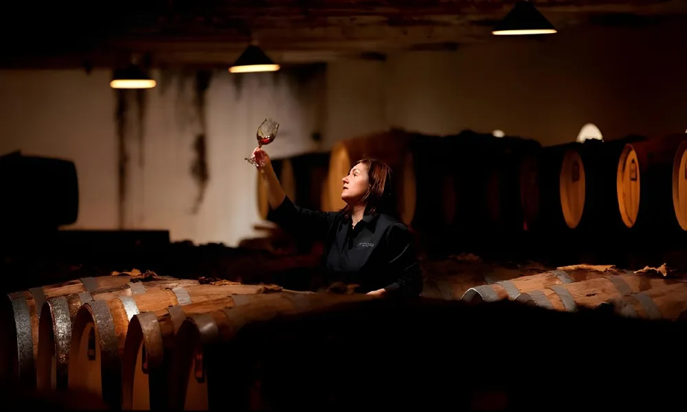 Seppeltsfield Taste of History Tour - Book Now | Experience Oz-1