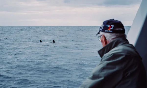 Killer Whale Expedition from Bremer Bay