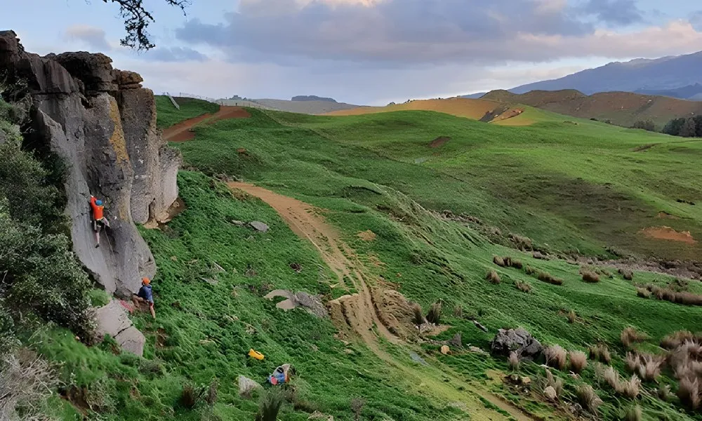 Raglan Rocking Climbing Adventure - Book Now | Experience Oz -4