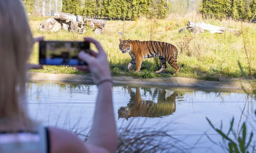 Christchurch Orana Wildlife Park Tickets - Book Now | Experience Oz