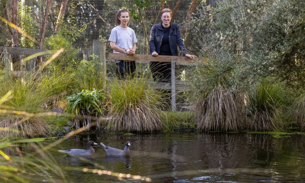 Christchurch Orana Wildlife Park Tickets - Book Now | Experience Oz-6