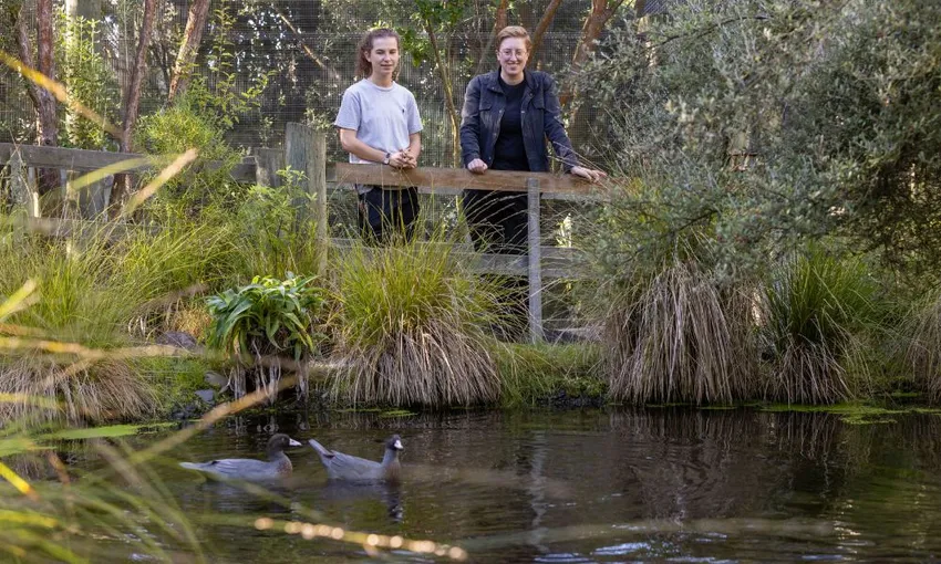 Christchurch Orana Wildlife Park Tickets - Book Now | Experience Oz