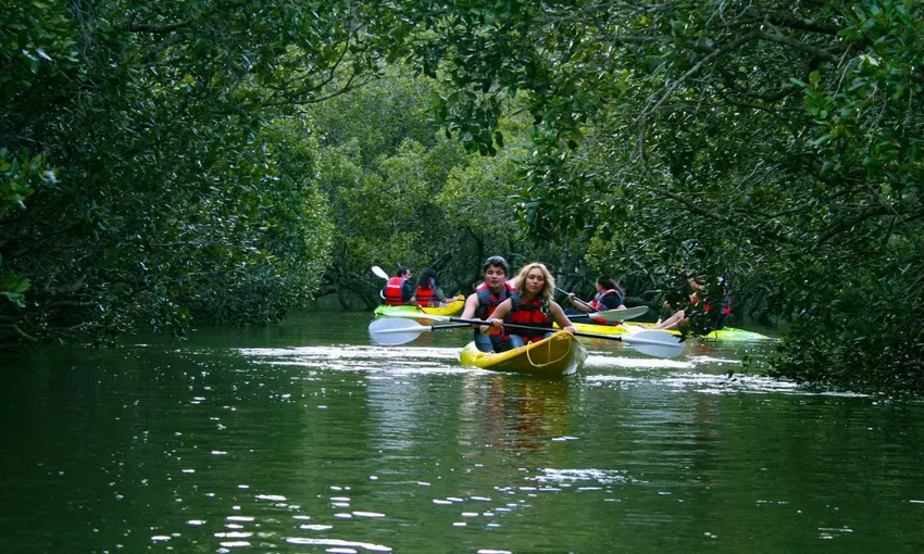 Bay of Islands Cruise and Kayak - Book Now | Experience Oz