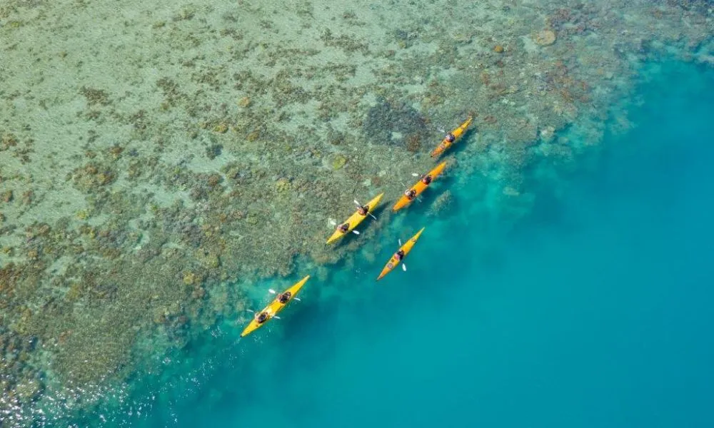 Whitsundays Kayaking Turtle Tour - Half Day | Experience Oz-1